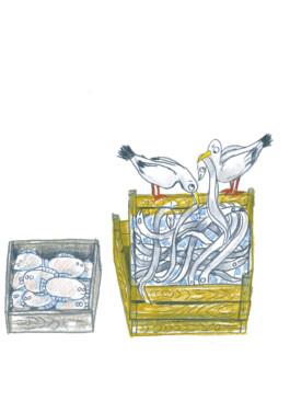 Nele Palmtag Illustration