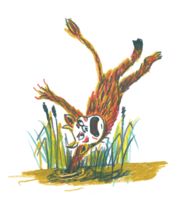 Nele Palmtag Illustration