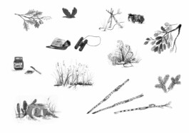 Nele Palmtag Illustration