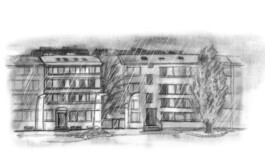 Nele Palmtag Illustration